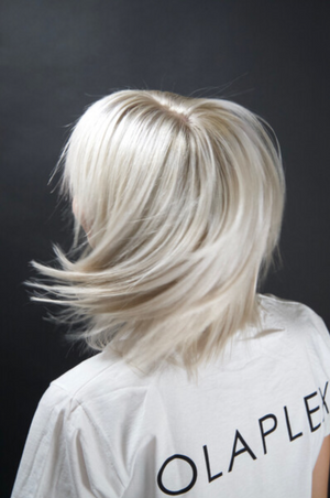 Platinum Blonde Maintenance 101