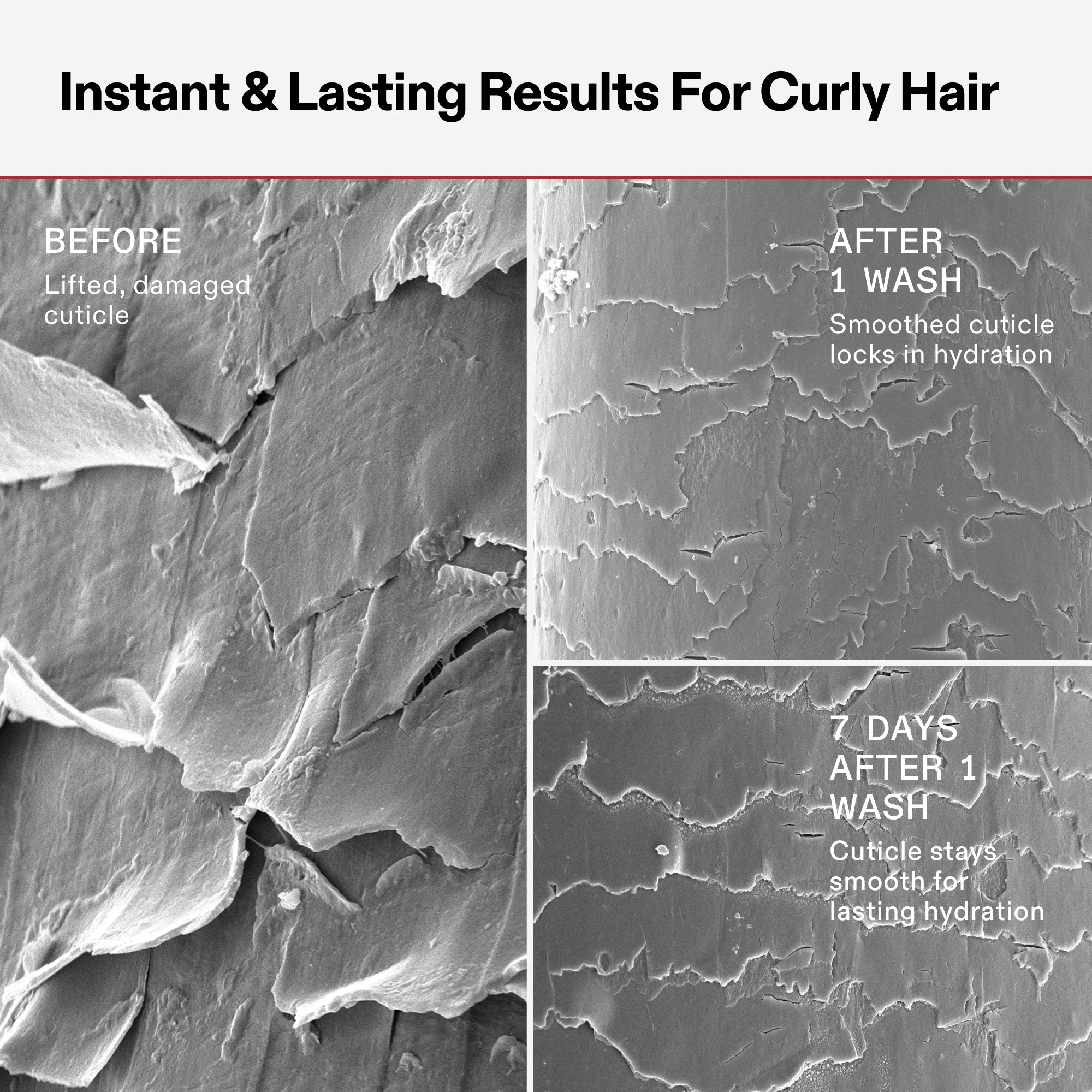 Scientific comparison titled 'Instant & Lasting Results For Curly Hair' showing three SEM (Scanning Electron Microscope) images of a hair cuticle. 'Before' shows a lifted, damaged cuticle. 'After 1 Wash' shows a smoothed cuticle locking in hydration. '7 Days After 1 Wash' shows the cuticle remains smooth for lasting hydration.