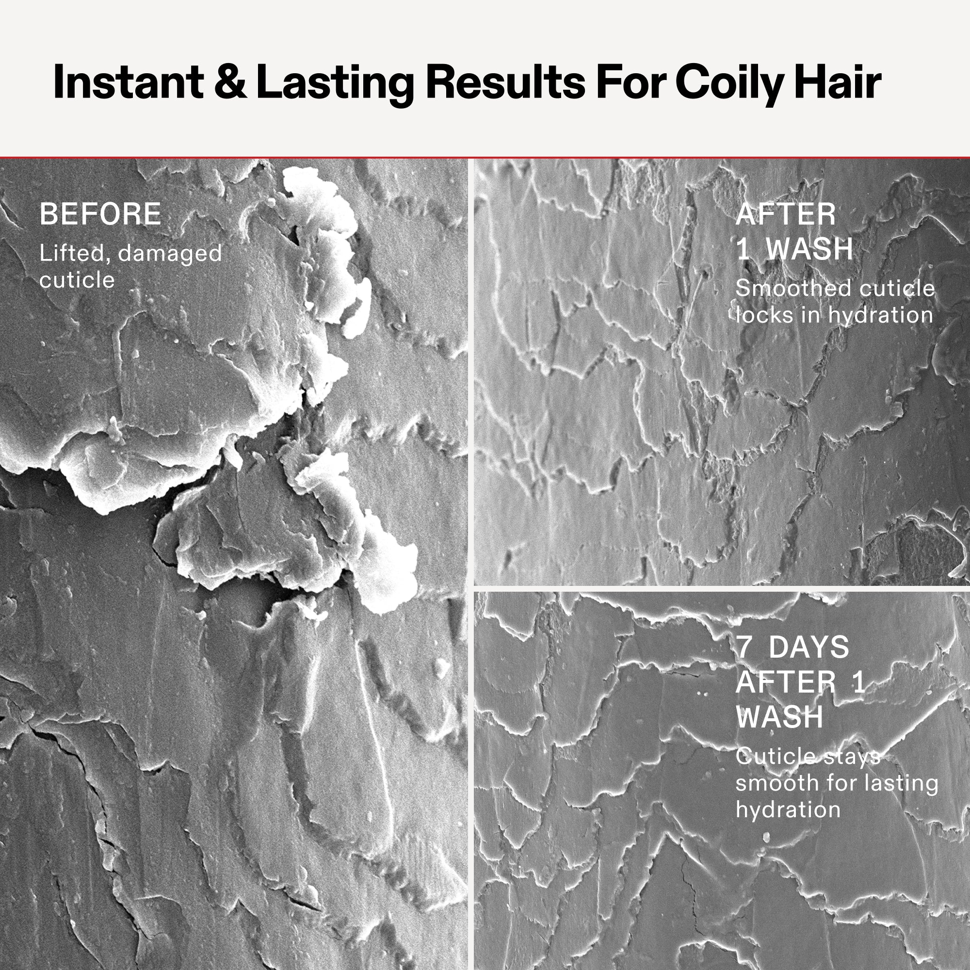 Scientific comparison titled 'Instant & Lasting Results For Coily Hair' showing three Scanning Electron Microscope (SEM) images of a coily hair cuticle. 'Before' shows a lifted, damaged cuticle. 'After 1 Wash' shows a smoothed cuticle that locks in hydration. '7 Days After 1 Wash' shows the cuticle remains smooth for lasting hydration.