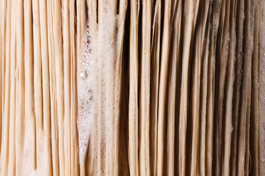 How to Read Prestige Shampoo Reviews Across Fine, Coarse and Colour-Treated Hair