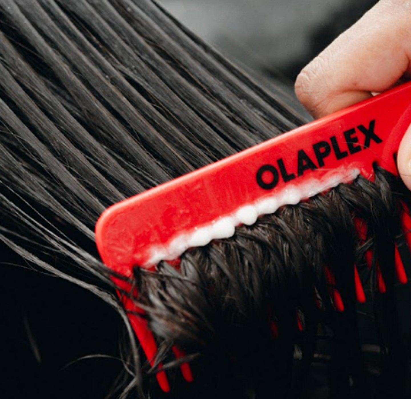 Holiday Haircare Gift Guide – OLAPLEX Inc.